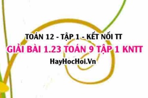 Giải 1.23 Toán 12 tập 1 SGK Kết nối tri thức